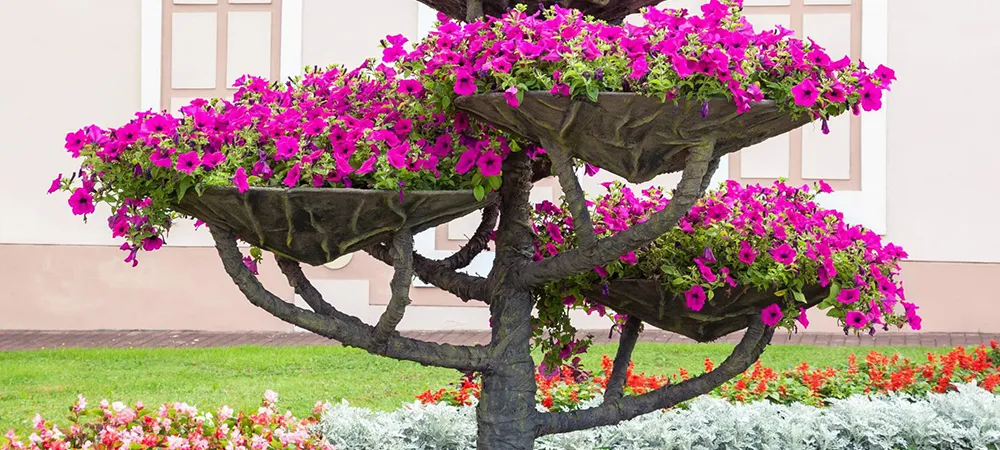 Виды клумб и цветников. 12 вариантов клумб